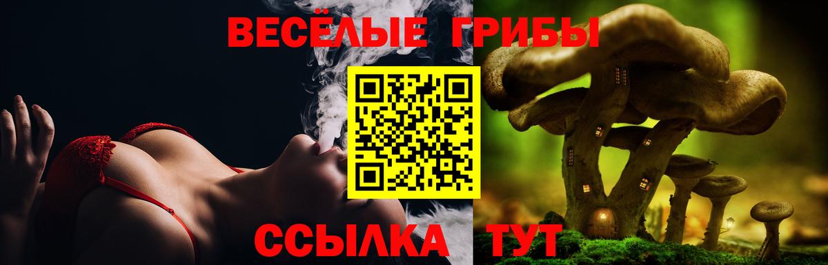 Псилоцибиновые грибы ЛСД Архангельск